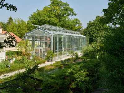 Glasshouse, botanical garden - kleine Darstellung