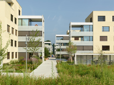 Housing Obermühleweid - kleine Darstellung