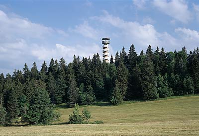 Tower of Moron - kleine Darstellung