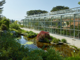 Glashaus, Botanischer Garten