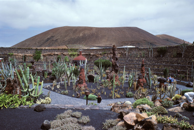 Cactus Garden - kleine Darstellung