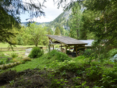 Botanischer Alpengarten Pont de Nant - kleine Darstellung