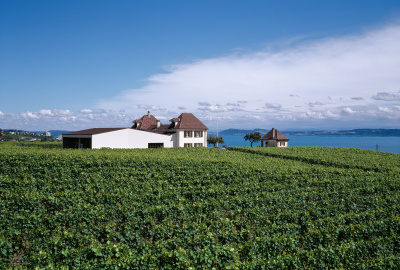 Weingut Chambleau  - kleine Darstellung