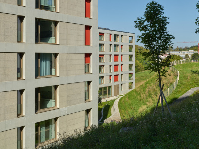 Housing Le Désert - kleine Darstellung