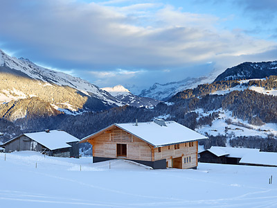 Chalet de vacances Leysin - kleine Darstellung