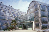 Botanischer Garten