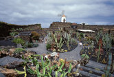 Jardin de cactus 