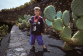 Jardin de cactus 