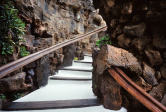 Jameos del Agua 