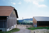 Etable pour 30 vaches - Stall fü