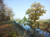 Revitalisierung der Aire, Pont d