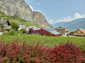 Einfamilienhaus Fosseau 7