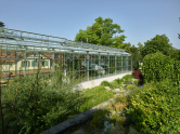 Glashaus, Botanischer Garten