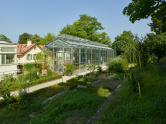 Glashaus, Botanischer Garten