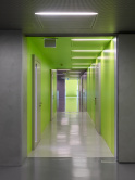 Conservatoire de musique, Haute 