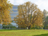 Gymnasium Münchenstein, Sanierun