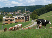 Wohnüberbauung Bernstrasse