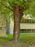 Primarschule St. Maurice, Erweit