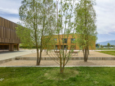 Kindergarten