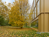 Collège du Léman - Maurabia