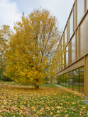 Collège du Léman - Maurabia