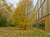 Collège du Léman - Maurabia