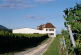 Ausbau Weingut Chambleau - Domai