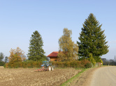 Haus Villars-Bozon, Umbau