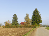 Haus Villars-Bozon, Umbau