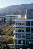 Tüfihaus - Swiss re