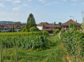 Umbau Haus Chemin du Tirage