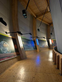 Cern-The Globe of innovation-Fro